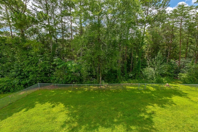 8624 Reba Ln, Hixson, TN 37343 - view of yard
