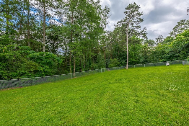 8624 Reba Ln, Hixson, TN 37343 - view of yard