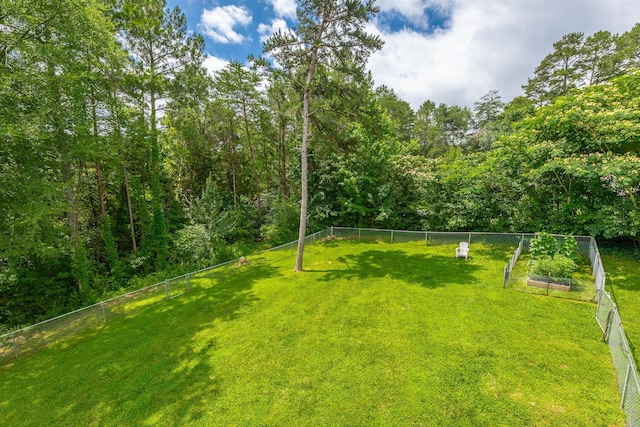 8624 Reba Ln, Hixson, TN 37343 - view of yard featuring a garden