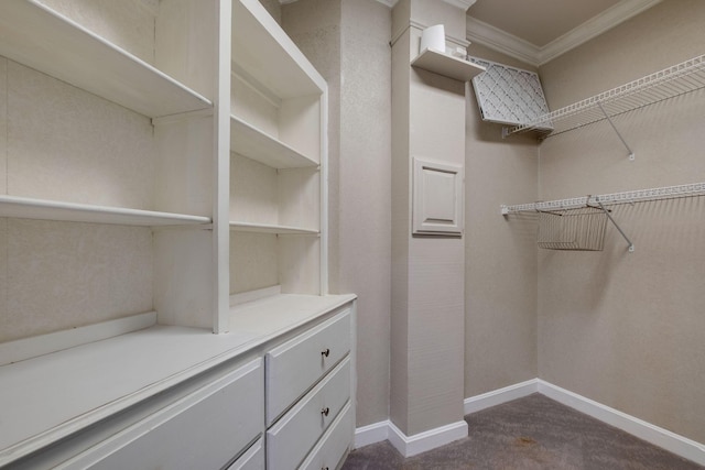 1825 Lake Meadow Trl, Mount Juliet, TN 37122 - walk in closet featuring dark carpet