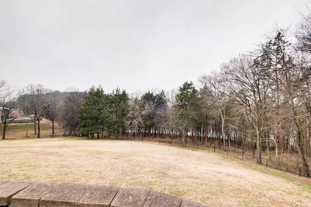 1825 Lake Meadow Trl, Mount Juliet, TN 37122 - view of yard with a forest view
