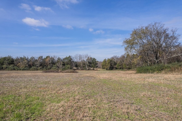 5876 New Salem Hwy, Rockvale, TN 37153 - photo 10