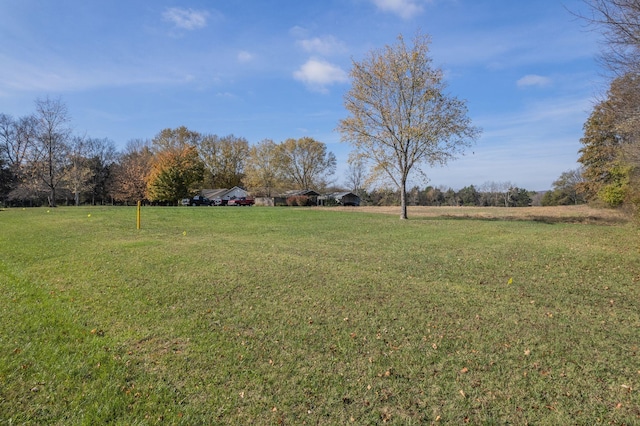 5876 New Salem Hwy, Rockvale, TN 37153 - photo 9