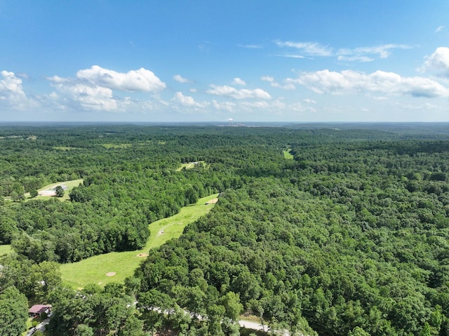 196 Deer Haven Rd, Indian Mound, TN 37079 - drone / aerial view of a forest