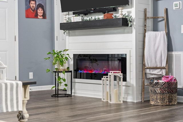 516 Cedarcrest Dr, Chapmansboro, TN 37035 - detailed view of wood finished floors and a glass covered fireplace