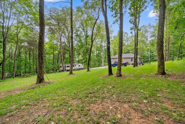 516 Cedarcrest Dr, Chapmansboro, TN 37035 - view of grassy yard with a wooded view