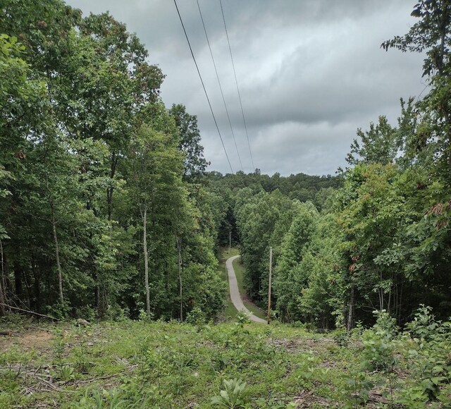 1232 Main St, Tracy City, TN 37387 - photo 14