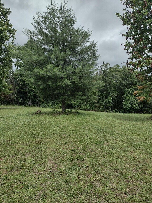 1232 Main St, Tracy City, TN 37387 - photo 20