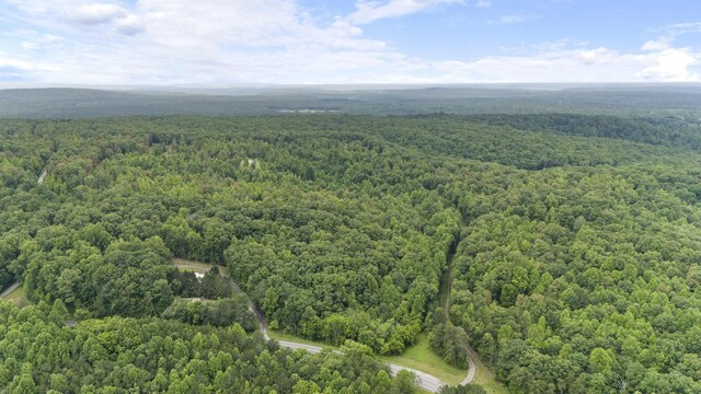 1232 Main St, Tracy City, TN 37387 - photo 26