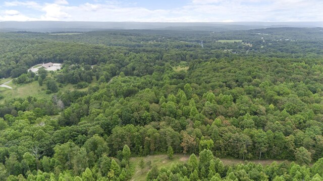 1232 Main St, Tracy City, TN 37387 - photo 34