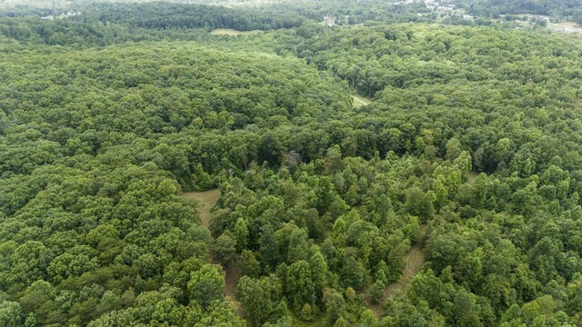 1232 Main St, Tracy City, TN 37387 - photo 21