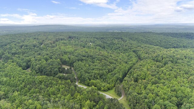 1232 Main St, Tracy City, TN 37387 - photo 27