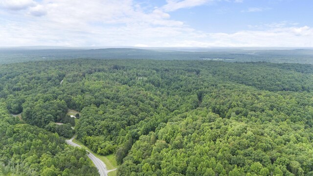 1232 Main St, Tracy City, TN 37387 - photo 28