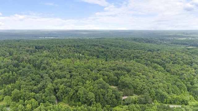 1232 Main St, Tracy City, TN 37387 - photo 29
