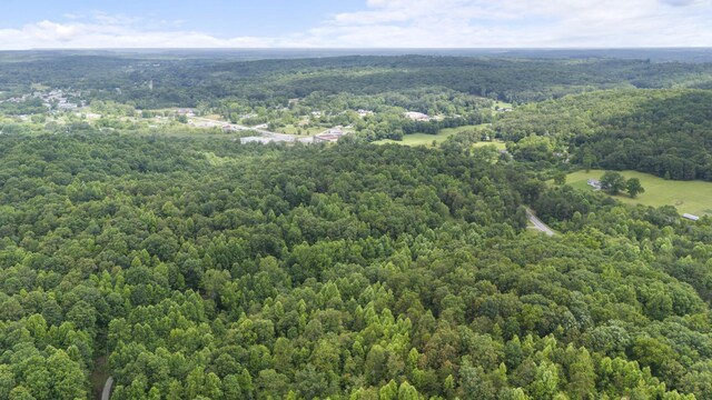 1232 Main St, Tracy City, TN 37387 - photo 36