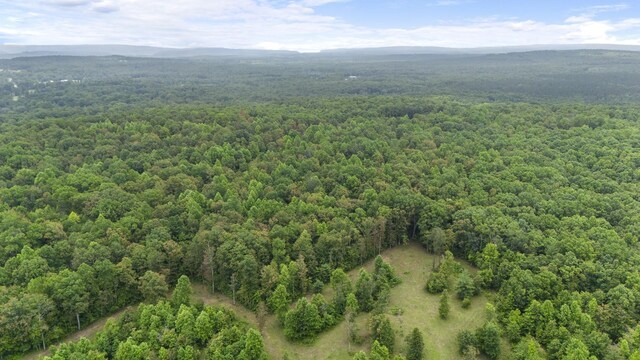 1232 Main St, Tracy City, TN 37387 - photo 33