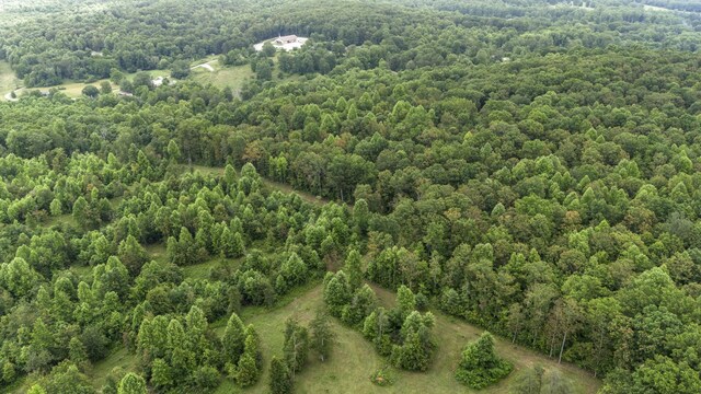 1232 Main St, Tracy City, TN 37387 - photo 13