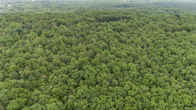 1232 Main St, Tracy City, TN 37387 - photo 23