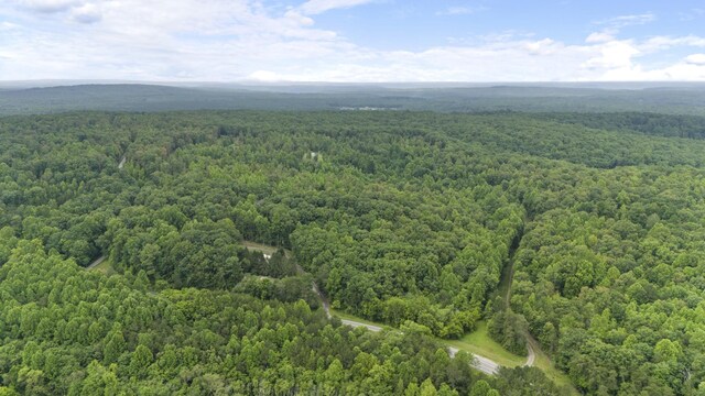 1232 Main St, Tracy City, TN 37387 - photo 25