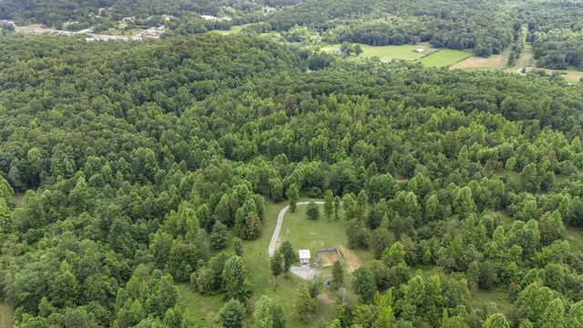 1232 Main St, Tracy City, TN 37387 - photo 18