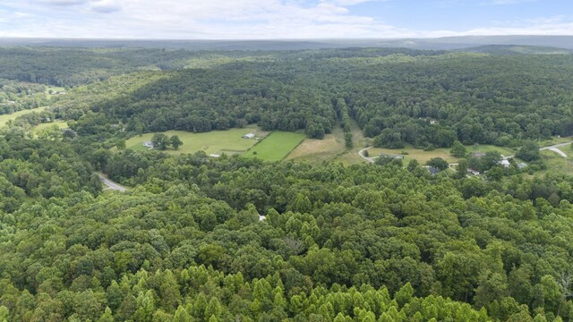 1232 Main St, Tracy City, TN 37387 - photo 35