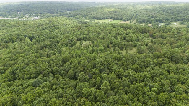 1232 Main St, Tracy City, TN 37387 - photo 24