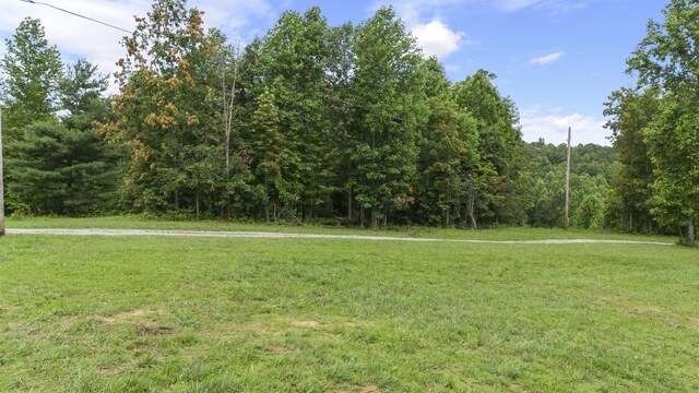 1232 Main St, Tracy City, TN 37387 - photo 5