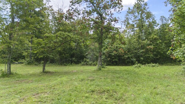 1232 Main St, Tracy City, TN 37387 - photo 12