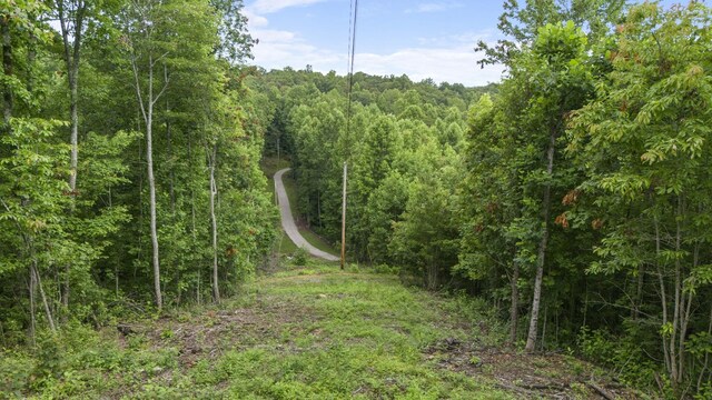 1232 Main St, Tracy City, TN 37387 - photo 15