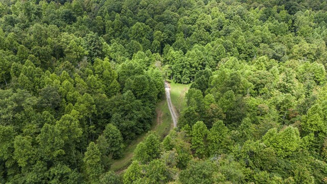 1232 Main St, Tracy City, TN 37387 - photo 38