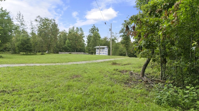 1232 Main St, Tracy City, TN 37387 - photo 7