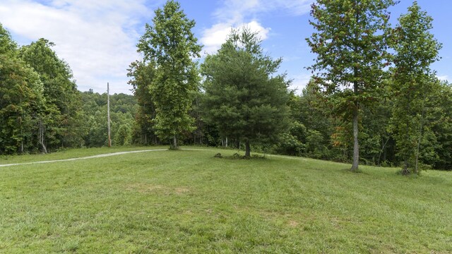 1232 Main St, Tracy City, TN 37387 - photo 3