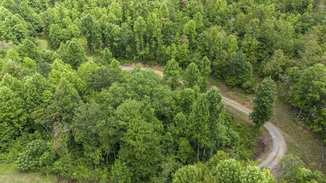 1232 Main St, Tracy City, TN 37387 - photo 16
