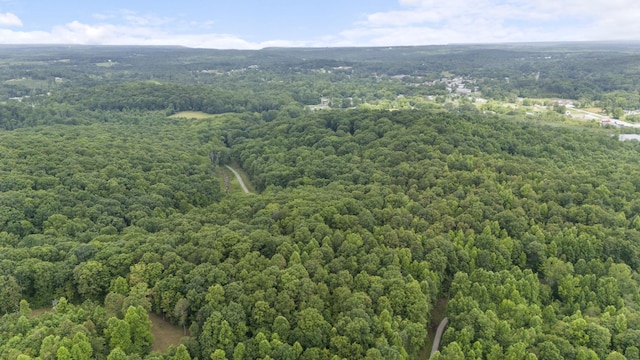 1232 Main St, Tracy City, TN 37387 - photo 37