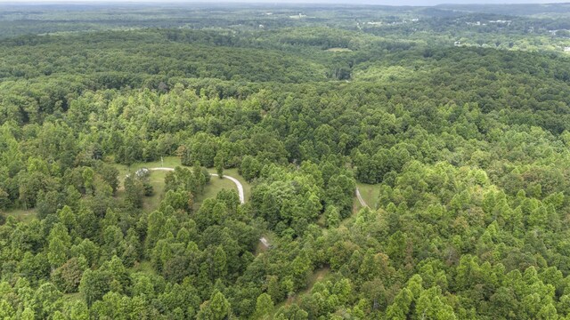 1232 Main St, Tracy City, TN 37387 - photo 39