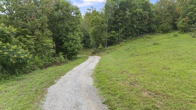 1232 Main St, Tracy City, TN 37387 - photo 11