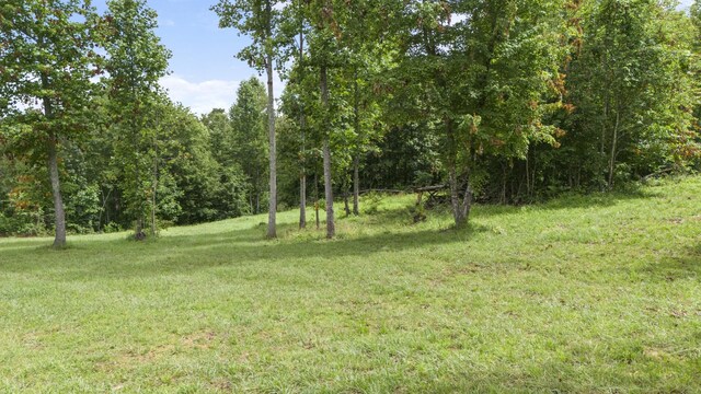 1232 Main St, Tracy City, TN 37387 - photo 4