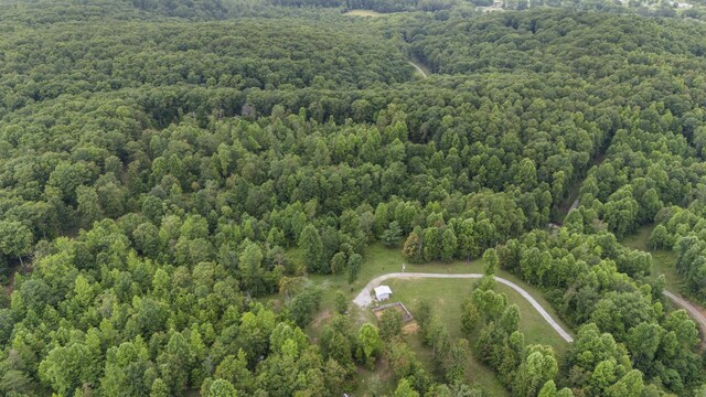 1232 Main St, Tracy City, TN 37387 - photo 51