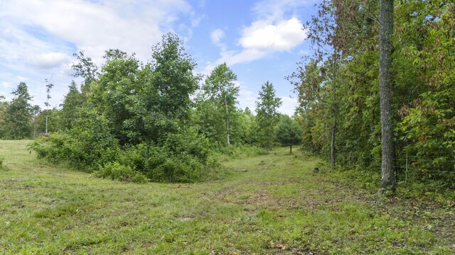 1232 Main St, Tracy City, TN 37387 - photo 44