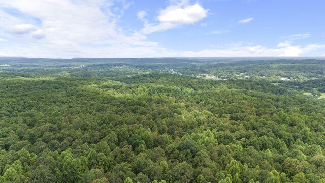 1232 Main St, Tracy City, TN 37387 - photo 43