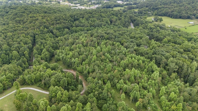 1232 Main St, Tracy City, TN 37387 - photo 49