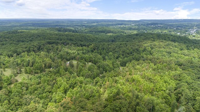1232 Main St, Tracy City, TN 37387 - photo 41