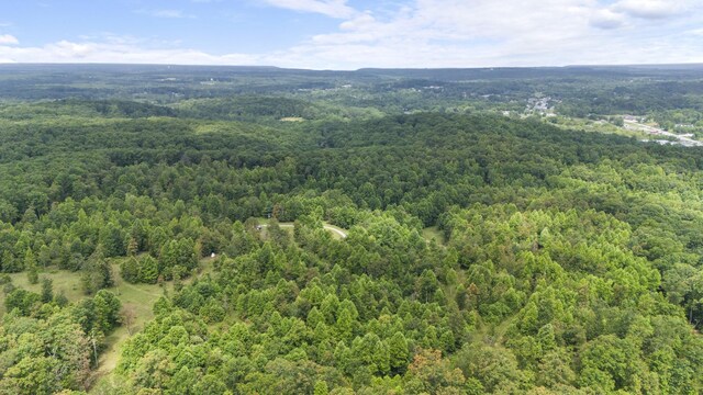 1232 Main St, Tracy City, TN 37387 - photo 42