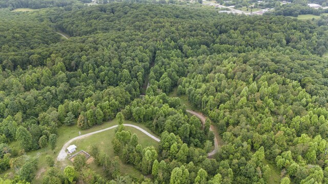 1232 Main St, Tracy City, TN 37387 - photo 50