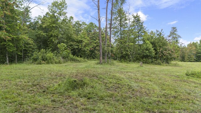 1232 Main St, Tracy City, TN 37387 - photo 46