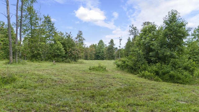 1232 Main St, Tracy City, TN 37387 - photo 45