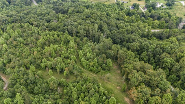 1232 Main St, Tracy City, TN 37387 - photo 48