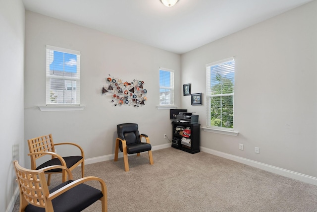 1302 Clarendon Ave, Murfreesboro, TN 37128 - photo 25