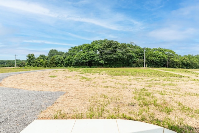916 Butler Bridge Rd, Portland, TN 37148 - view of yard
