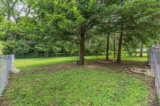 4946 Packard Dr, Nashville, TN 37211 - photo 39
